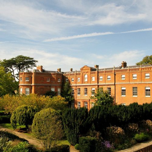 MissJones Group grove