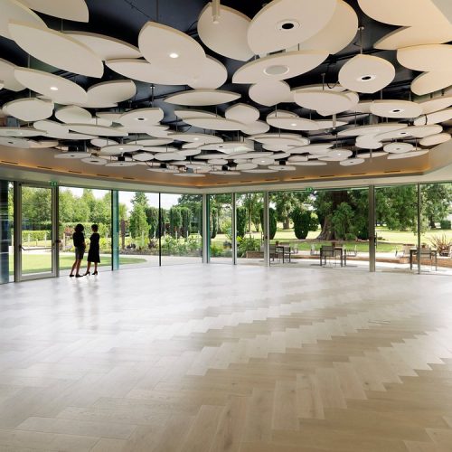 MissJones Group grove 3