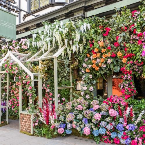 MissJones Group ivy 6
