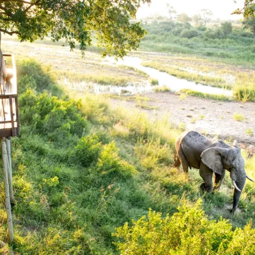 MissJones Group singita 6