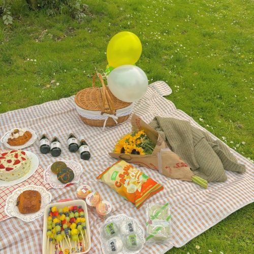 MissJones Group picnic 9
