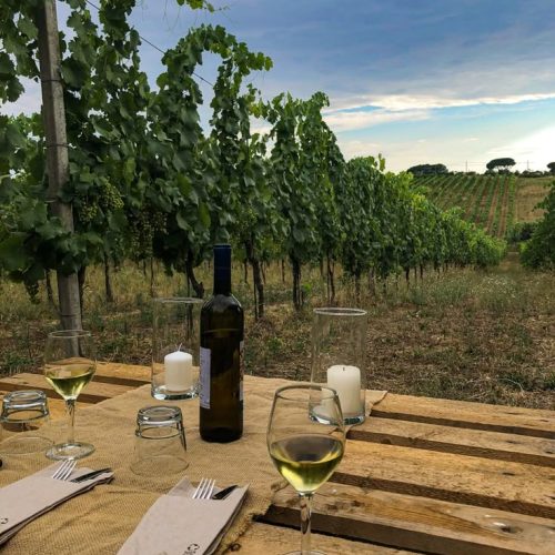 MissJones Group tasting 5