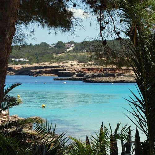 A view of the Mediterranean sea through trees in San Antonio, Ibiza