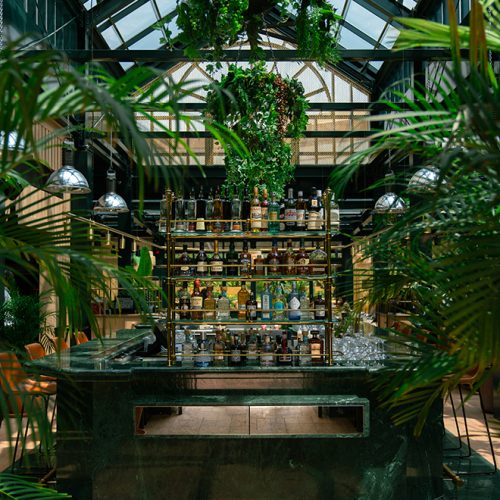 Inside the greenhouse space at Eugène Eugène, with the central bar surrounded by plants and vines