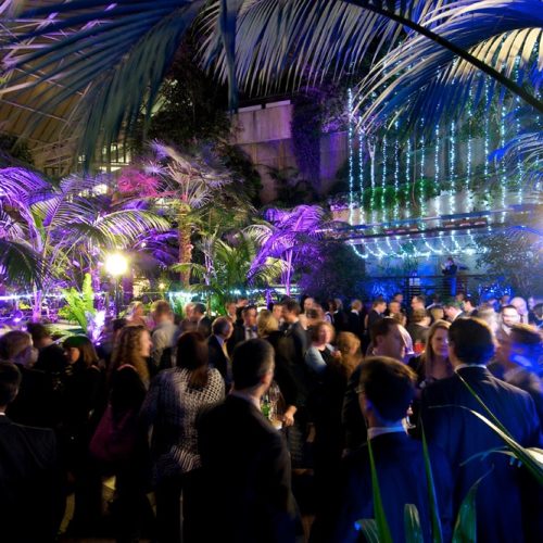 An event in the Conservatory at The Barbican Centre, where the plants are lit with neon purple and green lights