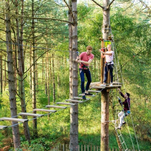 A team encouraging eachother at Go Ape