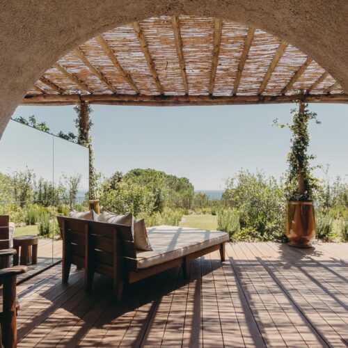 Lily of the Valley 2