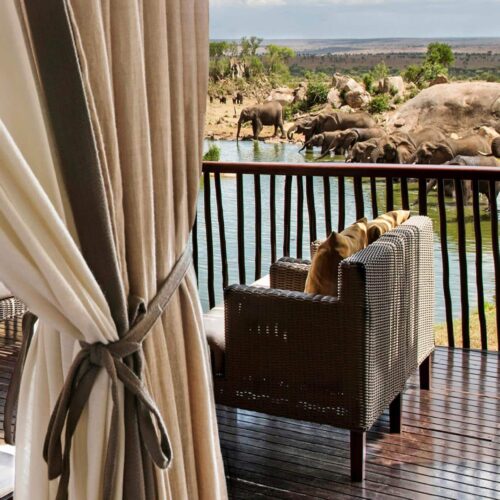 A view of a watering hole with wildlife from one of the bedrooms at Four Seasons Safari Lodge Serengeti