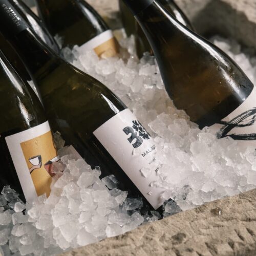 Bottles of wine in an ice bucket, ready to be served at Zylia