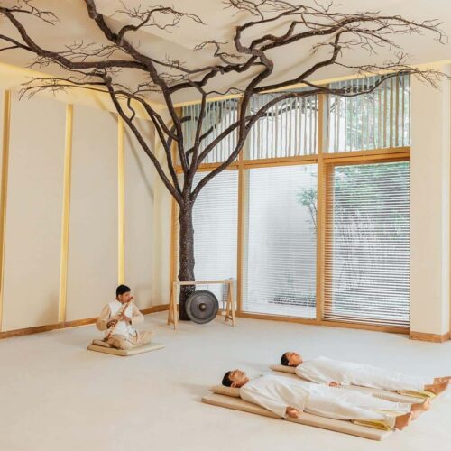 Two guests enjoying a private sound bath at Six Senses Vana, in a room with a tree decorating the walls