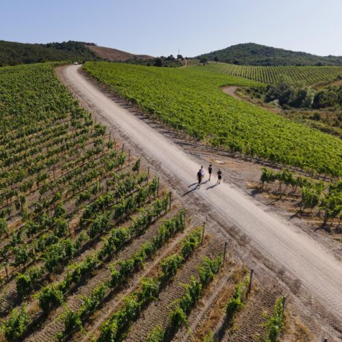 Castiglion del Bosco, A Rosewood Hotel 5