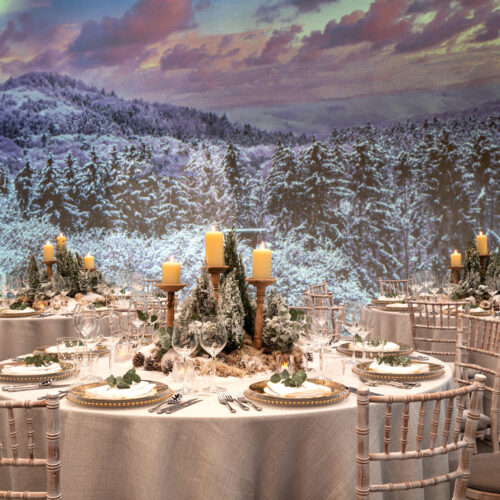 Frameless BlankCanvas Winter dining